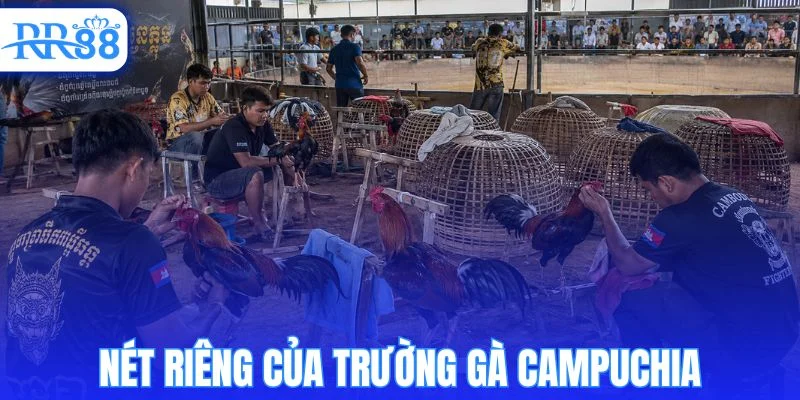 Các yếu tố tạo nên sự khác biệt của trường gà