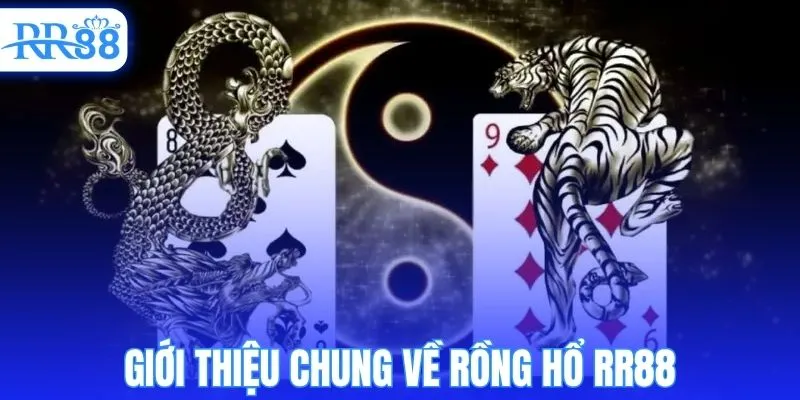 Giới thiệu chung về rồng hổ RR88