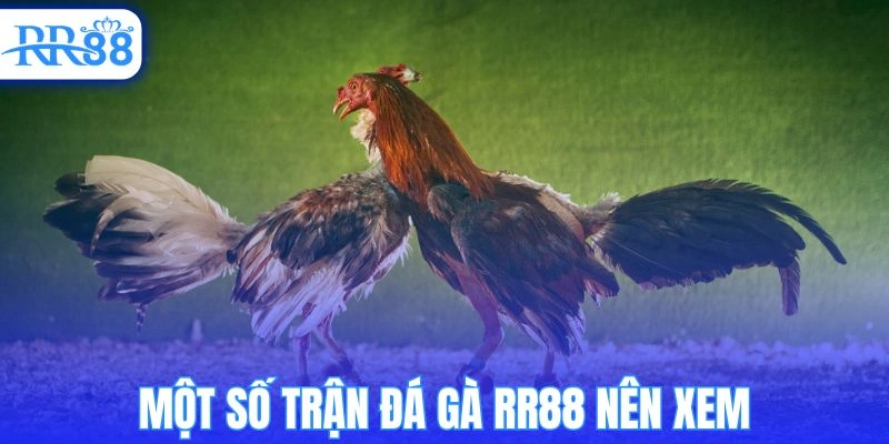 Một số trận đá gà RR88 nên xem
