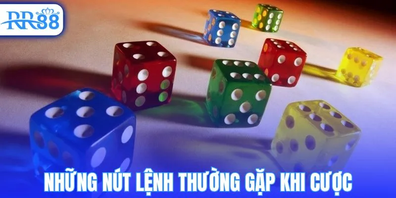 Những nút lệnh thường gặp khi cược