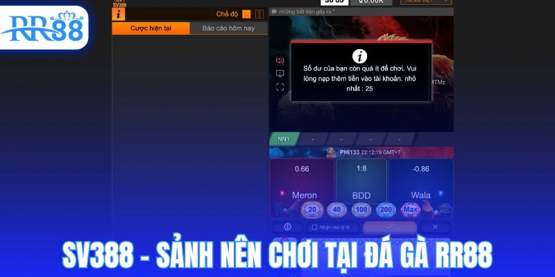 SV388 - Sảnh nên chơi tại đá gà RR88