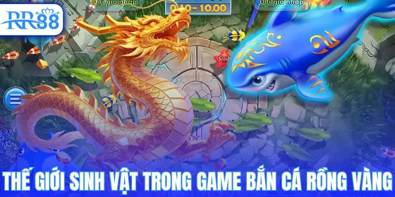 Thế giới sinh vật trong bắn cá rồng vàng