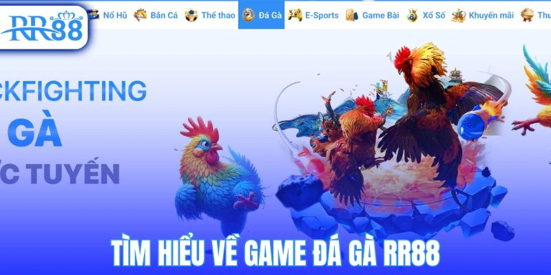 Tìm hiểu về game đá gà RR88
