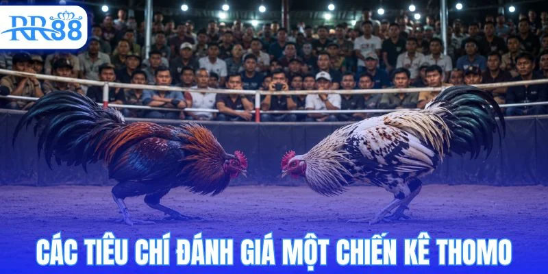 Yếu tố quyết định chất lượng của một chiến kê thomo